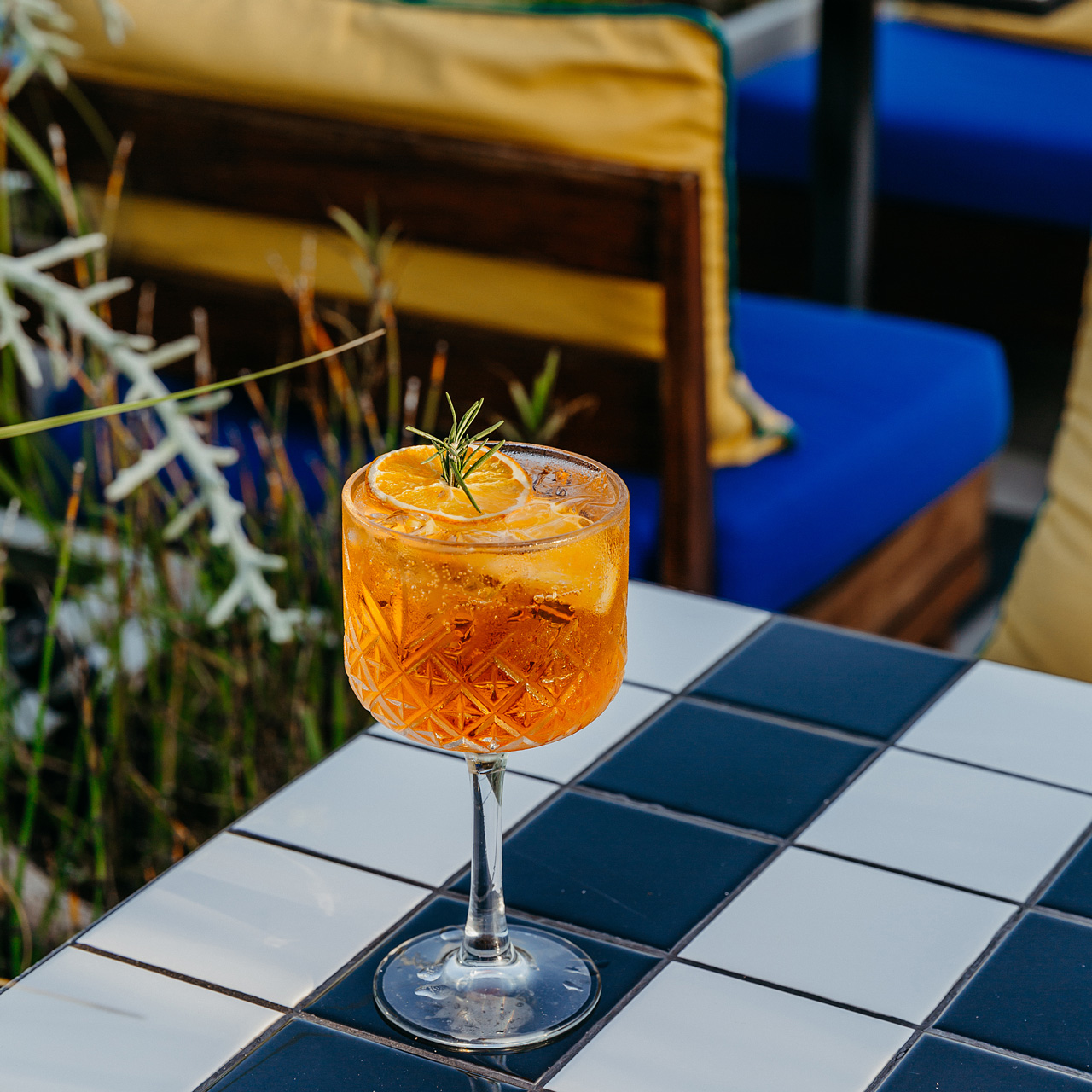 Cocktail Millionaire Spritz servi à SALT of Palmar.
