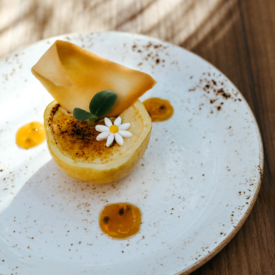 SOP DISH