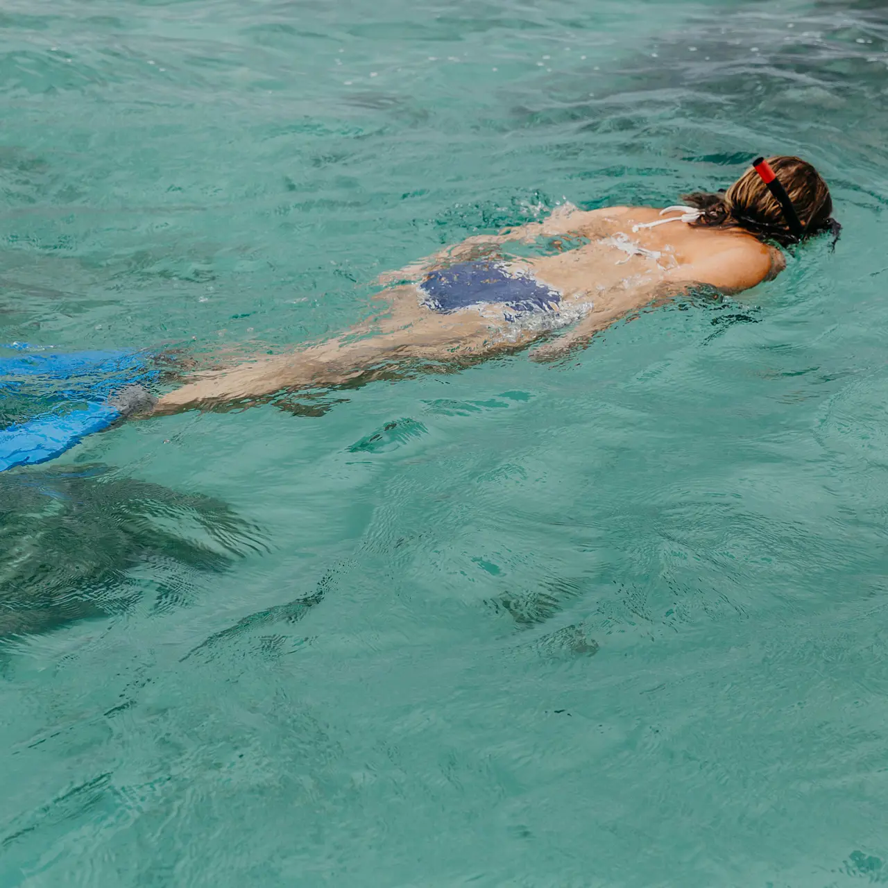 Guest snorkelling in turquoise waters.