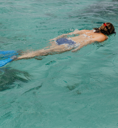 Guest snorkelling in turquoise waters.