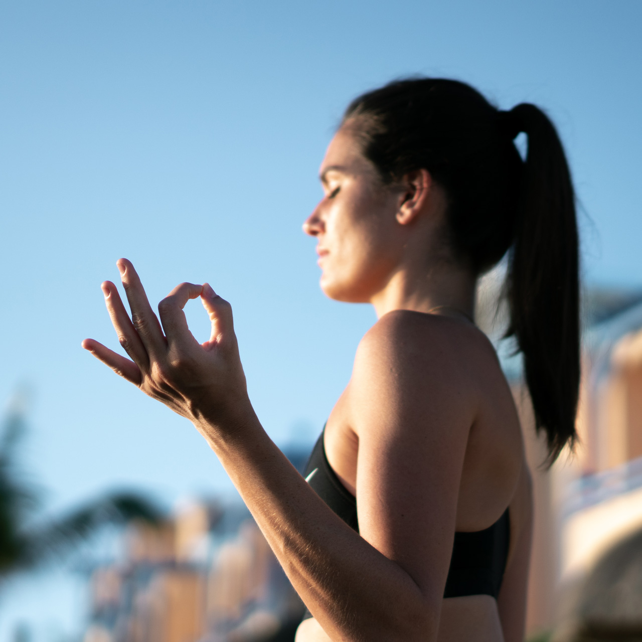 Sunrise yoga and mindful meditation.